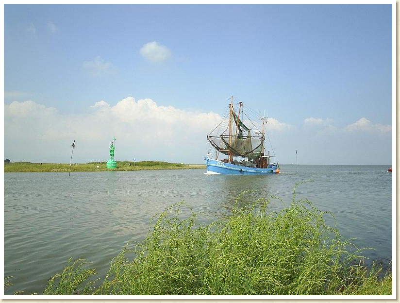 Nordsee07 (5)